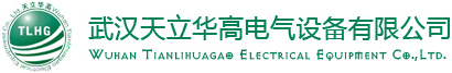 這是關(guān)于武漢天立華高電氣設(shè)備有限公司的logo圖片，歡迎大家來(lái)公司網(wǎng)站！